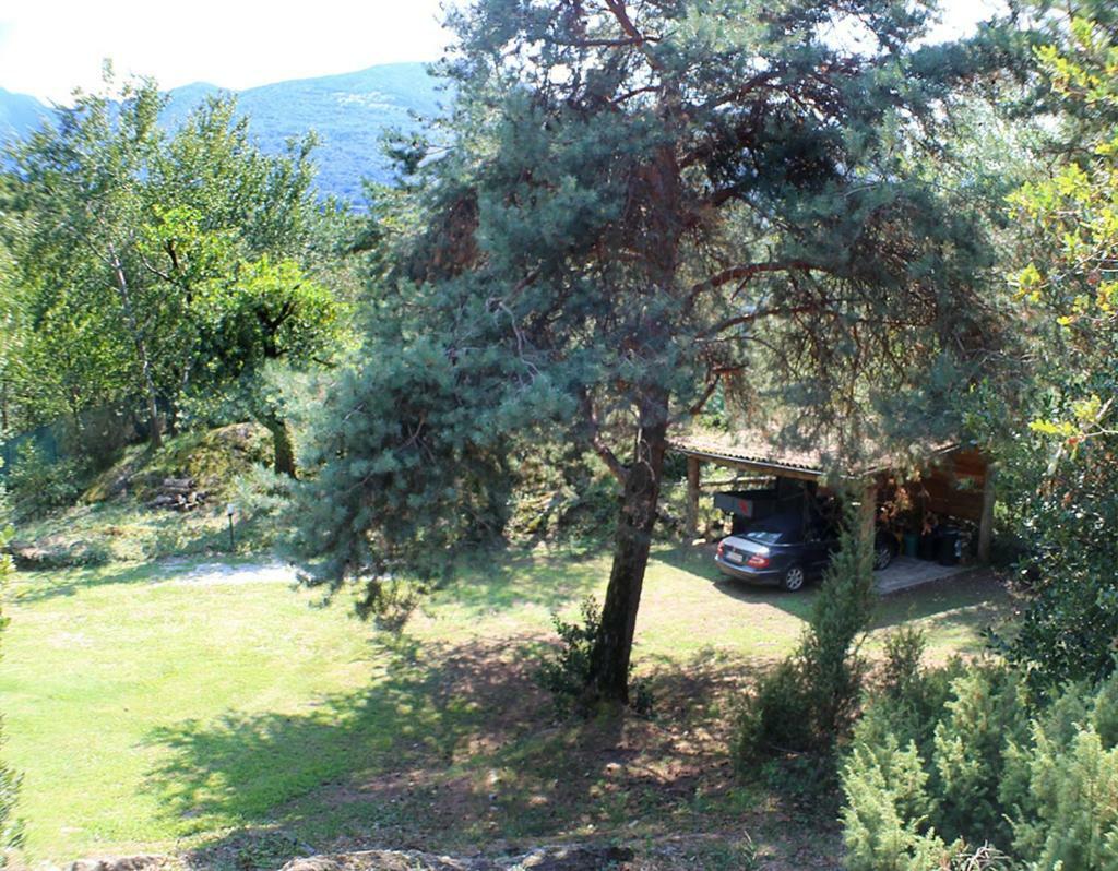 Villa Erica Con Piscina Privata Sul Lago Di Como Colico Εξωτερικό φωτογραφία